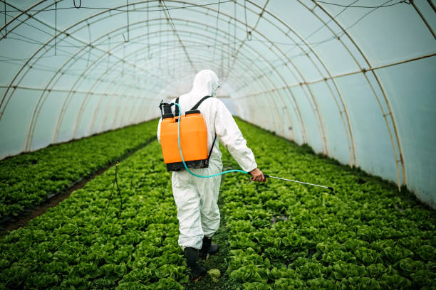 Best Pest Control Near Me  in Lake Mohawk, NJ