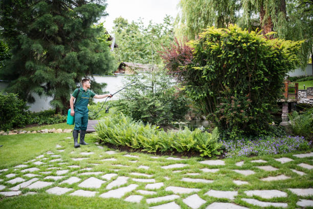 Best Insect Control  in Lake Mohawk, NJ