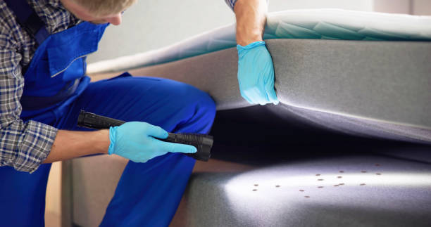 Best Residential Pest Control  in Lake Mohawk, NJ