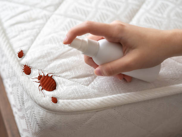 Professional Pest Control in Lake Mohawk, NJ