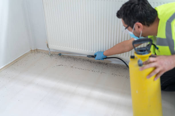 Best Pest Control for Businesses  in Lake Mohawk, NJ