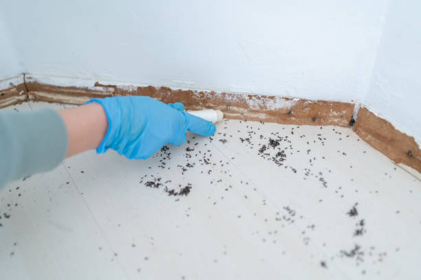 Best Commercial Pest Control Services  in Lake Mohawk, NJ