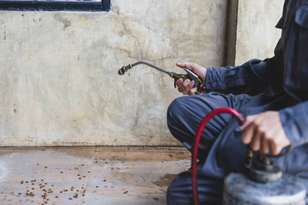 Best Exterminator Services  in Lake Mohawk, NJ