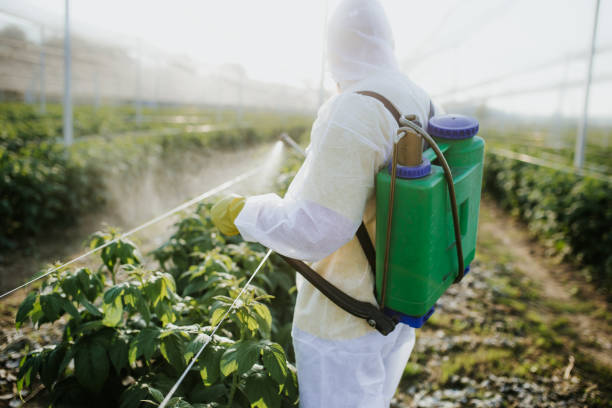 Best Pest Control for Restaurants  in Lake Mohawk, NJ